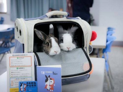 好伴兔兔講座熱鬧登場，百位飼主攜手守護毛茸小夥伴健康