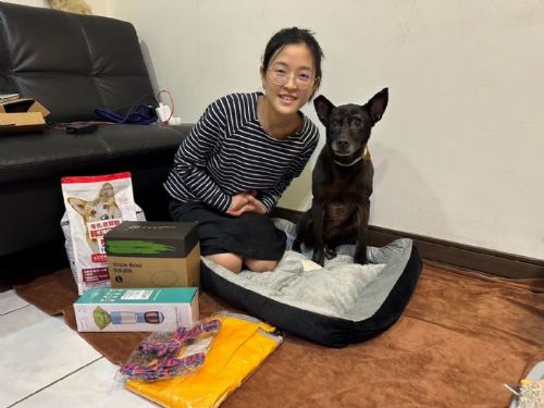 認養老犬享好禮再拿2,000點新北幣！新北動保處邀您給毛寶貝一個幸福晚年