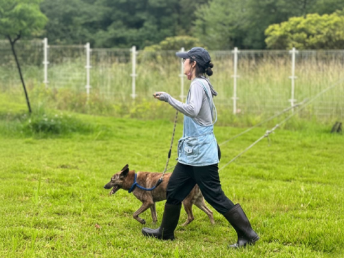瑞芳動物之家照護再升級！專業團隊進駐，陪毛孩安心等待幸福新家