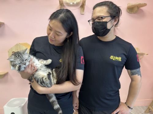 新北首創「餐廳愛心認養小棧」三芝撲克麵線，打造美食與溫暖並存的幸福據點
