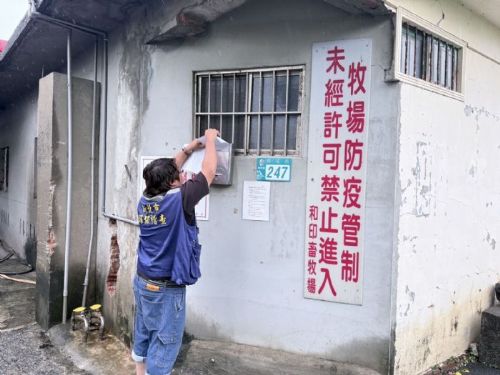 新北防疫團隊全力動員，聯手守護養豬產業與民眾食安安全線