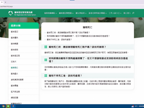 陪毛寶貝走完最後一程！新北推動寵物除戶登記，為珍貴陪伴留下完整紀念