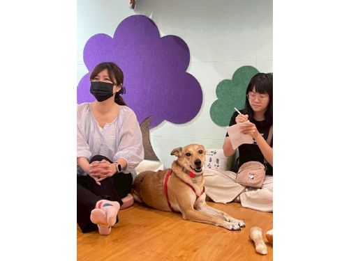 毛孩與飼主攜手成長，六週犬隻行為訓練課程溫暖結訓