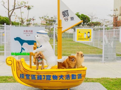奔跑吧毛小孩！高雄打造人犬共融新日常，寵物犬活動區像城市裡的小花綻放