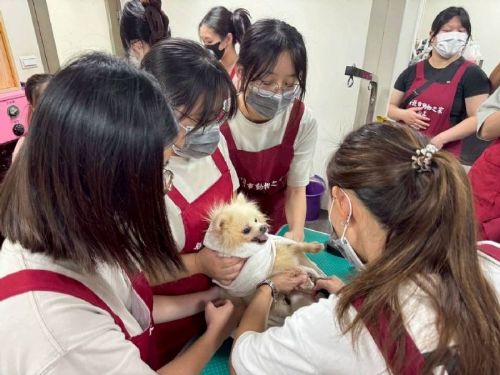 台北海洋科大學生走進板橋動物之家，為收容毛寶貝打造嶄新模樣