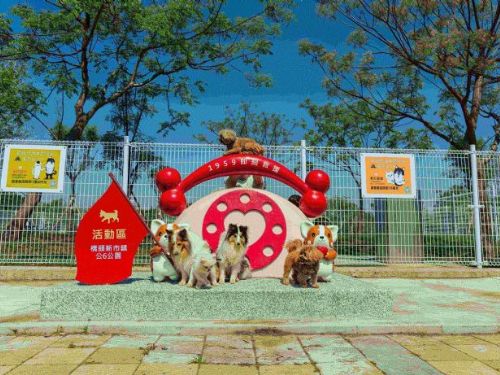 橋頭新市鎮公園寵物活動區盛大啟用，毛孩玩樂新天地與城市綠意共融