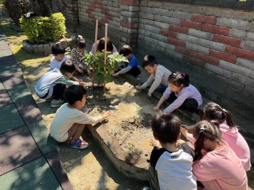 幸福學母語！全台幼兒園熱情推動臺灣台語沉浸式教學，玩中學、生活化、文化味滿滿