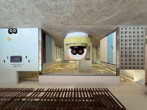 校園廁所大變身！國教署投入40億升級老舊廁所，讓孩子每天都能安心又舒心如廁