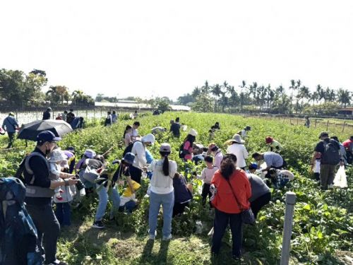 《蘿蔔仔逃走中‧變身小小農夫》火焰蟲非營利幼兒園體驗客庄農事文化