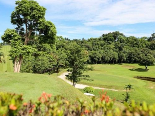高雄果嶺自然公園正式啟用，城市綠地新生的歡樂里程碑