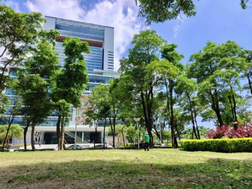 亞灣新光園道煥新迎賓｜城市綠帶升級、八月底完工，陪你把步伐放慢一點，坐落於新