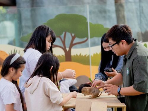 「野森動物學校」2月份門票明開搶！攜手壽山動物園推聯名任務及多項加碼活動