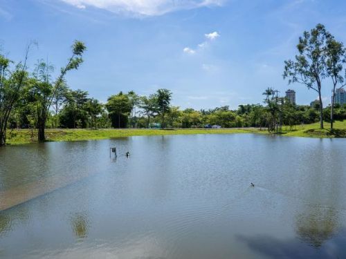高雄果嶺自然公園即將亮相｜70公頃綠意打造城市中的生態秘境