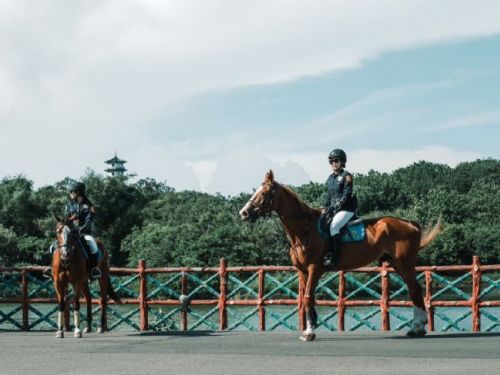 澄清湖夏日大解放：免門票入園，親子放風、品茶、追「高雄熊」一次到位！