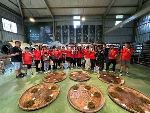 從山茶看見生態永續！茂林環境教育中心全新課程，邀學子化身茶職人