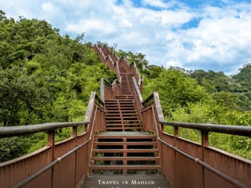 2026 新年第一趟療癒旅程 | 跟著白爛貓飛進茂林，走讀部落、賞蝶迎新春