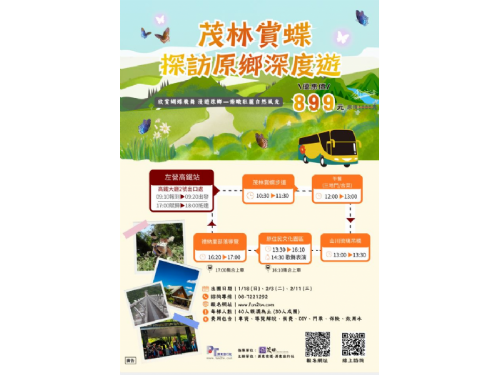 冬季限定紫蝶奇景登場，茂林賞蝶主題遊程專車啟程，邀您走進山林生態與原鄉文化