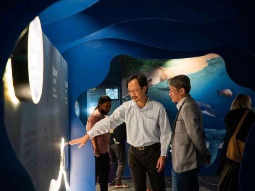 重返海洋生物來了，海洋裡住了很多陸地移民，海生館一次講清楚