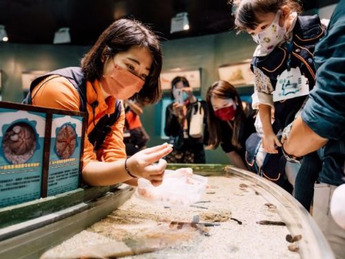 夜宿海生館「迷你解說員親子營」2026年登場，兩天一夜職人體驗，引領孩子探索海洋、培養表達力