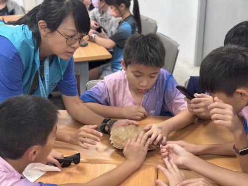 全台2,000名鱟保母結訓！海科館「鱟知鱟學」計畫再招募10校加入