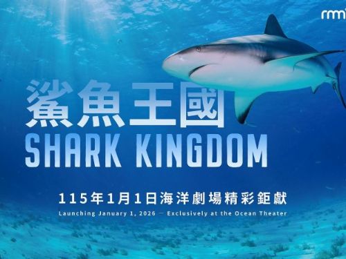 全臺博物館首映！海科館《鯊魚王國》巨幕登場，直擊海洋霸主爆發力