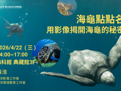 海科館辦理「海龜點點名」教師研習營，歡迎報名，結合影像認識海龜，探索海科望海巷生態地圖了解海洋生態