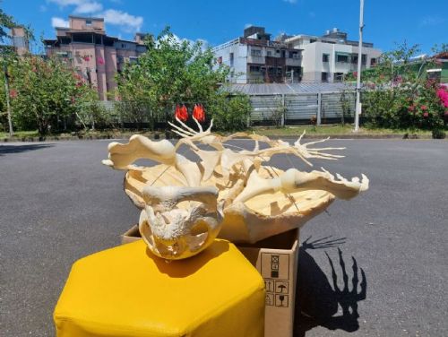 從消逝到重生，神秘巨獸「革龜」標本在海科館正式亮相