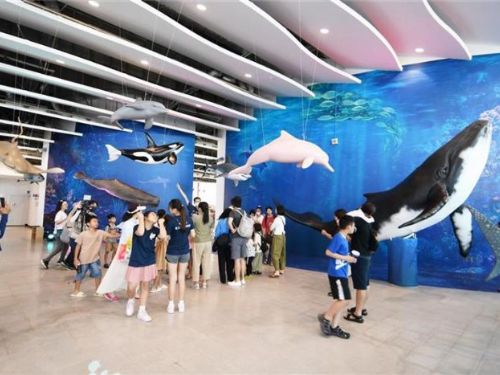 白色海豚屋營造室內海洋風 與海對話・鯨豚共舞 歡迎來打卡