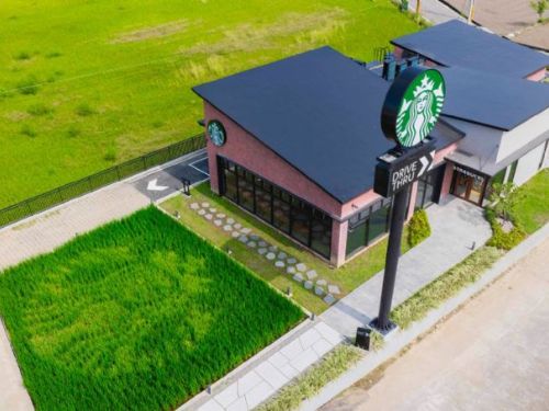 漫步稻香之間，品味慢活時光，星巴克「苑裡稻香門市」開幕，攜手苑裡農會打造女神稻田彩繪