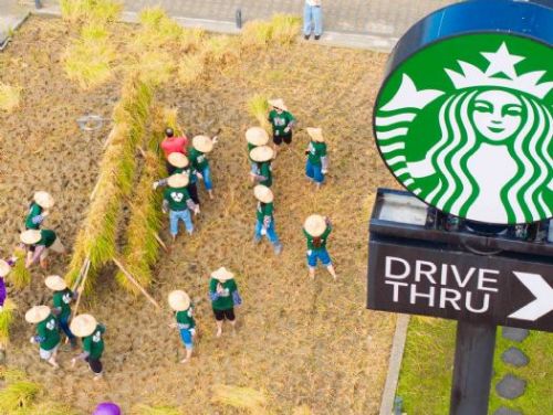 一杯咖啡，一片稻浪：走進星巴克苑裡稻香門市，感受最溫柔的田園時光