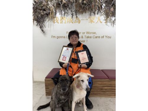 用陪伴為毛孩點亮希望，北市動物之家志工獲志願服務金銀銅獎肯定