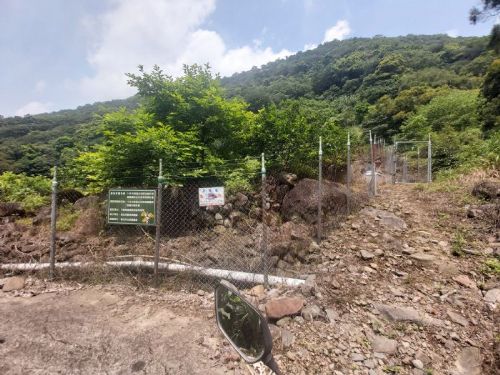守護農作也守護生態，北市推猴害防治補助計畫，協助農民安心耕作、人猴和諧共存