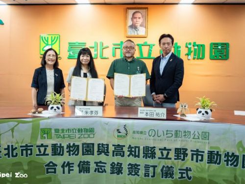 臺北市立動物園攜手日本高知縣立野市動物園締結保育友好協定，深化跨國合作 共創野生動物永續未來