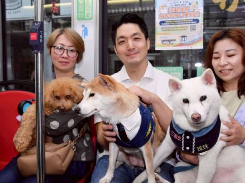 臺北打造寵物友善新日常！毛孩搭車、散步、春遊一次滿足，城市溫度再升級
