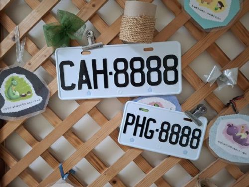 高雄區監理所標售汽車及機車新式號牌，起標價2,000元起開標