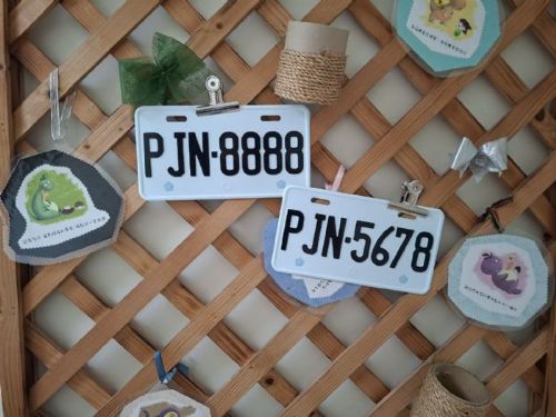 高雄區監理所標售「PJN」開頭的機車新式號牌