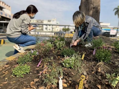 高雄區監理所推「預約早苗」快閃活動，汽燃費約扣結合減碳永續，提前達標種下100棵樹