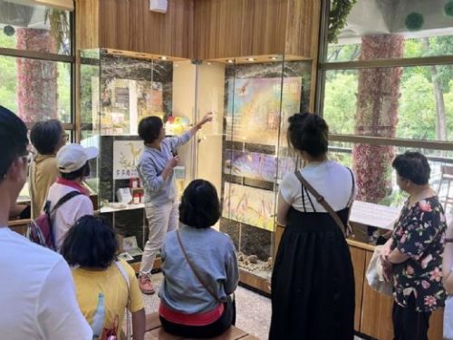 用畫筆聽見森林心跳｜「多多鳥」吳憶萍手繪插畫展在新威遊客中心暖心登場