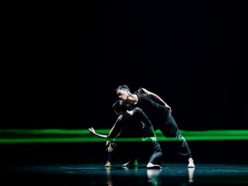 雲門舞集「關不掉的耳朵」高雄震撼登場！聲音與身體交織的詩意旅程，引觀眾多刷盛讚