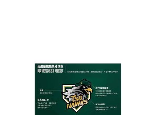 『真的六隊了：台鋼雄鷹隊引領台灣職棒進入新紀元』