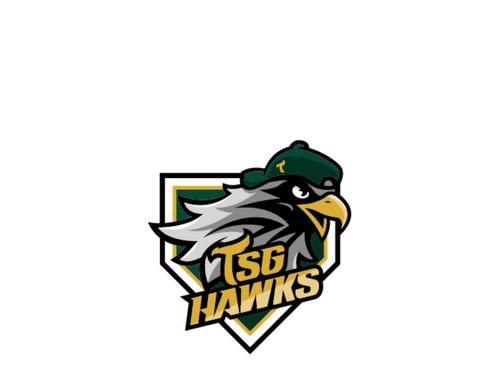 澄清湖破萬球迷見證復出｜陳文杰WBC練習賽先發DH敲安，秒數新制首度實戰執行