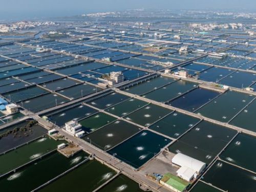 屏東縣佳冬鄉塭豐養殖漁業生產區塭豐二中排改善工程動土典禮