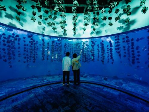 屏東海生館還能這樣玩?! 暑期活動公開隱藏版絕美景點