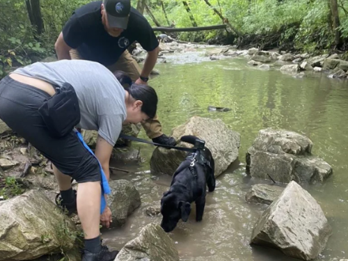 台灣第一隻電子產品偵測犬從美國返台 「虛擬貨幣冷錢包」也能找到