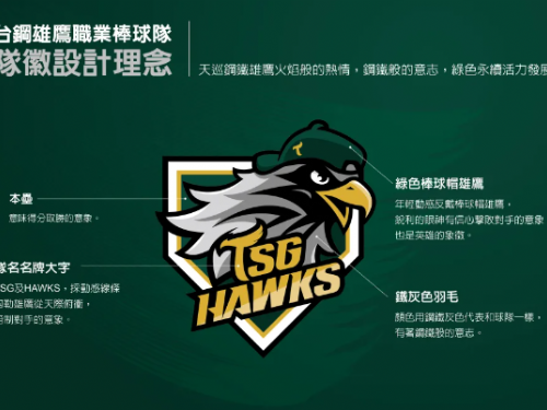 你給幾分？台鋼雄鷹隊徽出爐
