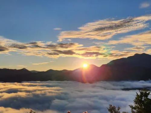 阿里山山林音樂節 植作發聲與樂音共同的療癒聽覺饗宴
