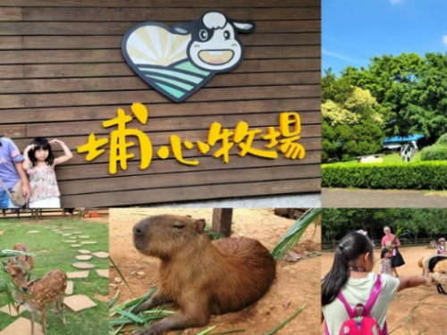 北部好玩親子牧場，近距離餵食超可愛水豚君、羊駝、梅花鹿！