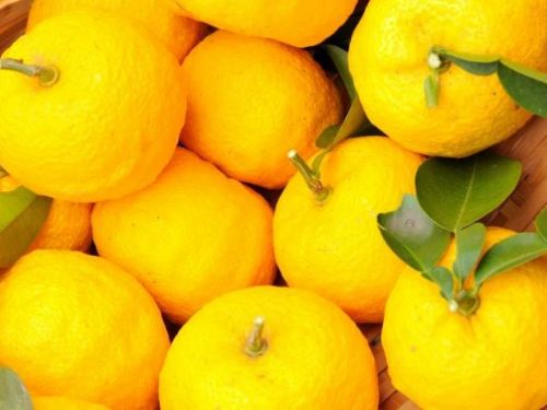 自製的柚子醬看起來也很好吃！