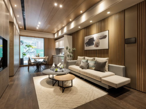 樣品屋設計公司的潛在問題