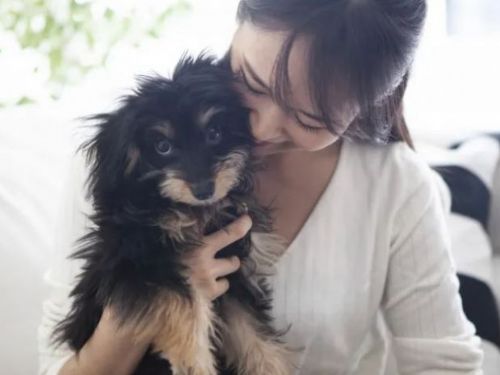 按“狗的年齡開始飼養”的要點[寵物問答書]